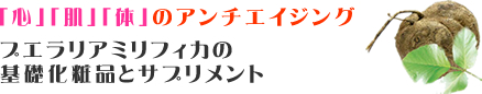 Ŝ̃A`GCWO@vGA~tBJ̊bϕiƃTvg